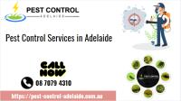 Pest Control Adelaide image 1